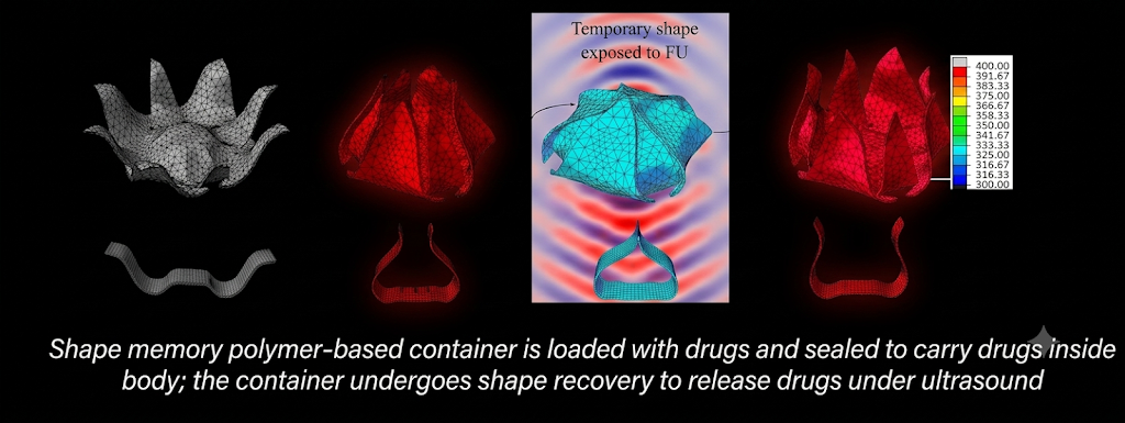 Simulation of a shape-memory polymer drug container: permanent shape, compressed temporary shape, and recovery under focused ultrasound